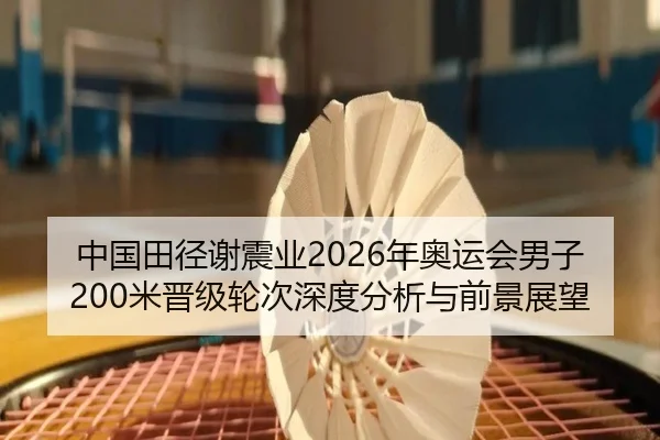 中国田径谢震业2026年奥运会男子200米晋级轮次深度分析与前景展望